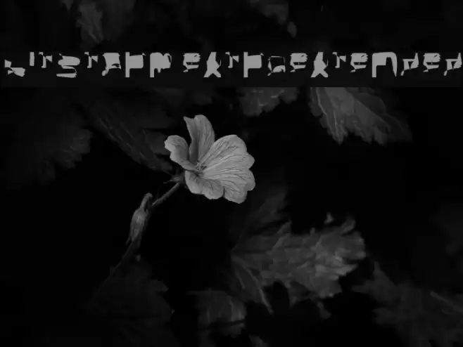 bitstorm extraextended Font examples