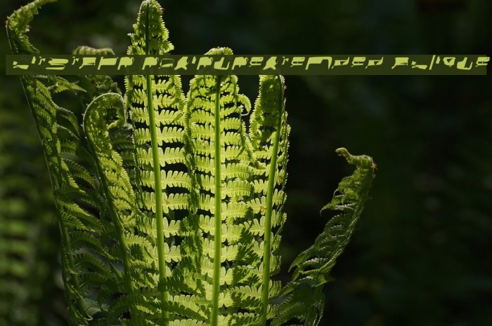 bitstorm maximumextended oblique Example 3