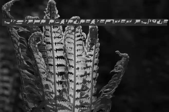 bitstorm maximumextended oblique Font examples