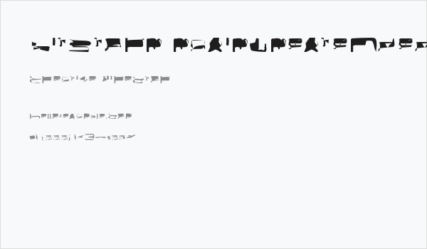 bitstorm maximumextended Business Card