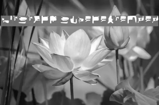 bitstorm superextended Font examples