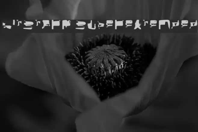 bitstorm superextended Font examples