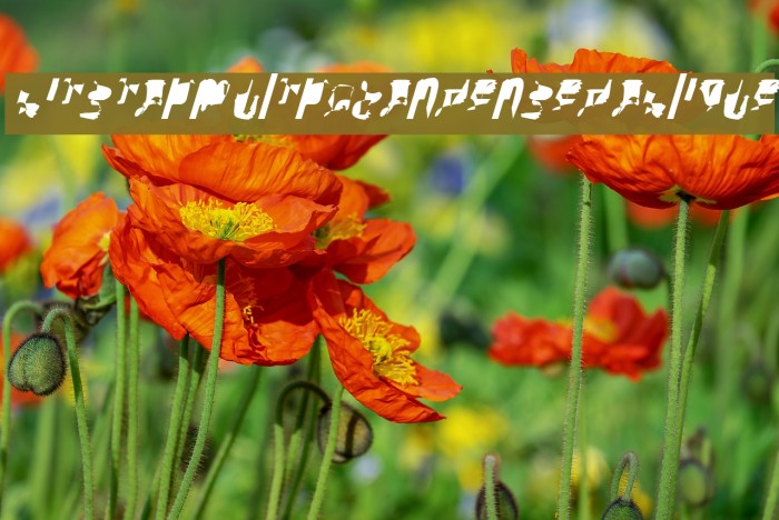 bitstorm ultracondensed oblique Example 1