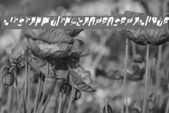 bitstorm ultracondensed oblique Font examples