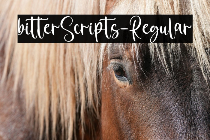 bitterScripts-Regular Example 3