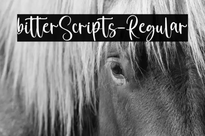 bitterScripts-Regular Font examples