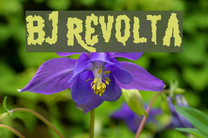 BJ REVOLTA Font examples