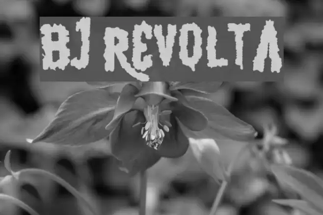 BJ REVOLTA Font examples