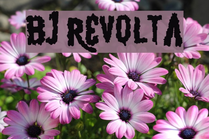 BJ REVOLTA Font examples