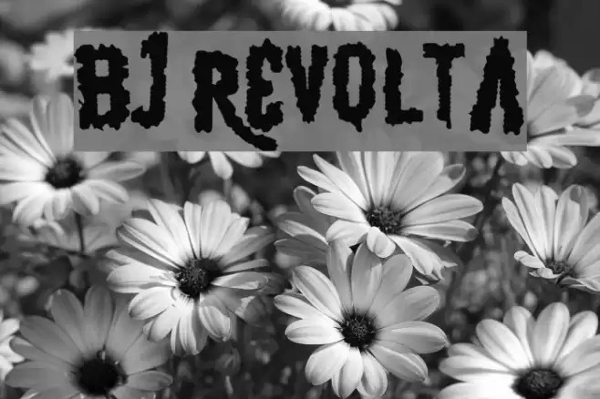 BJ REVOLTA Font examples