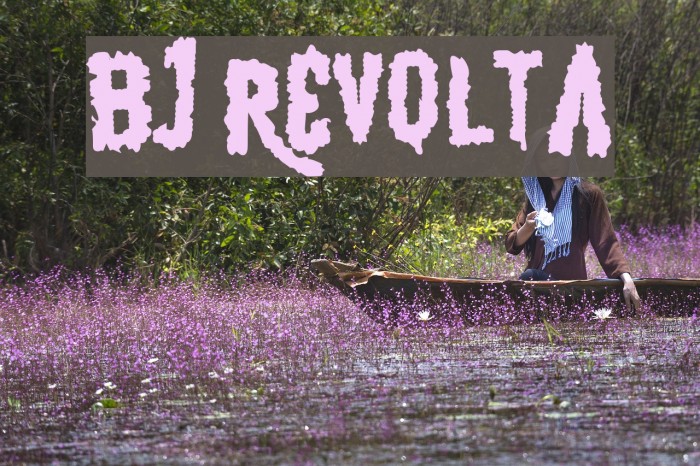 BJ REVOLTA Font examples