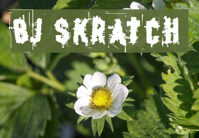 BJ SKRATCH Font examples