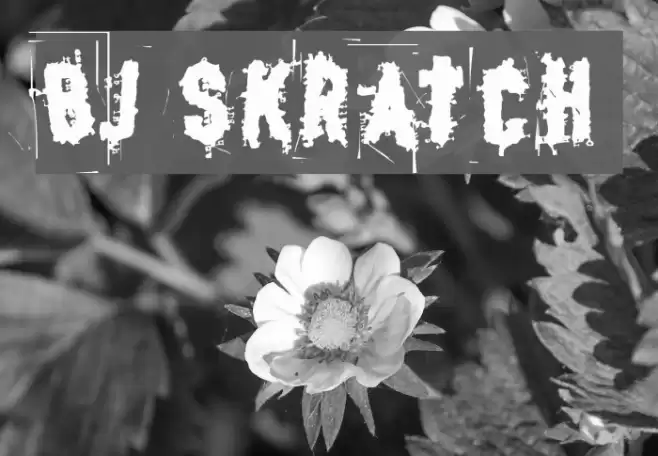 BJ SKRATCH Шрифта examples