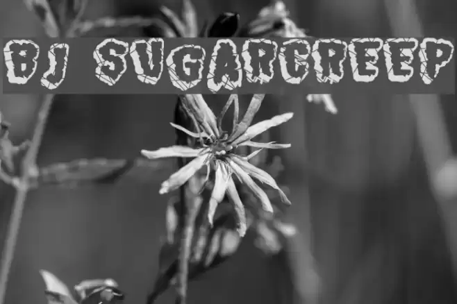 BJ SUGARCREEP Font examples