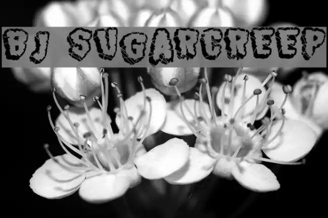 BJ SUGARCREEP Font examples