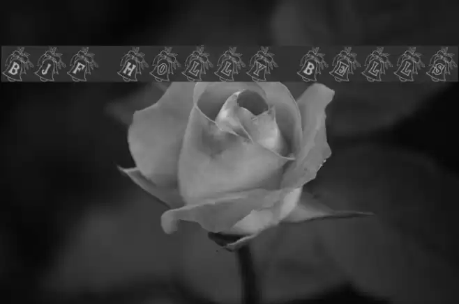 BJF Holly Bells Font examples