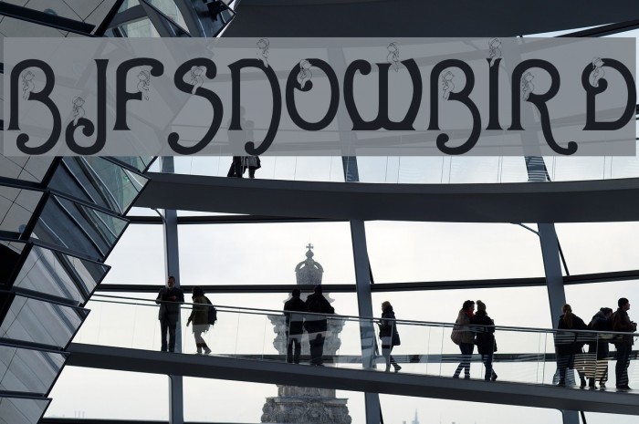 BJF Snowbird Example 1