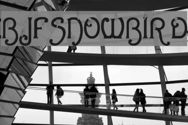 BJF Snowbird Font examples