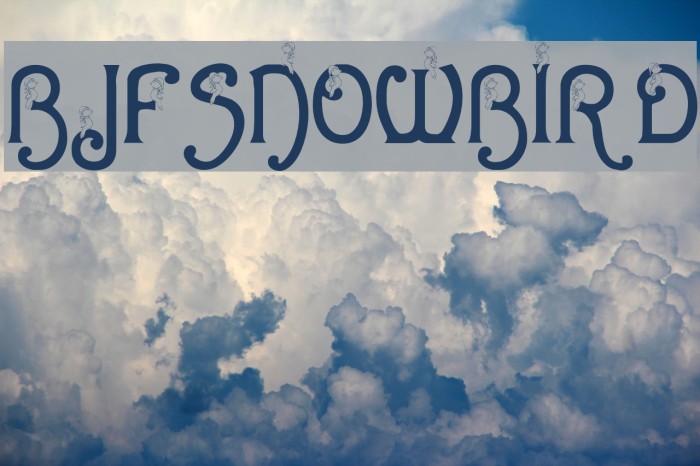 BJF Snowbird Example 2