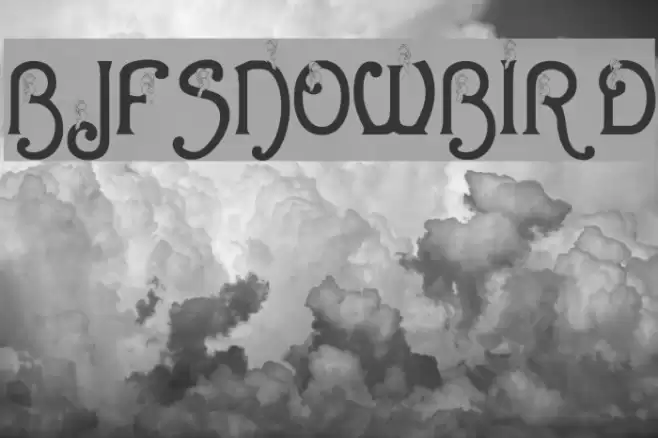 BJF Snowbird Font examples