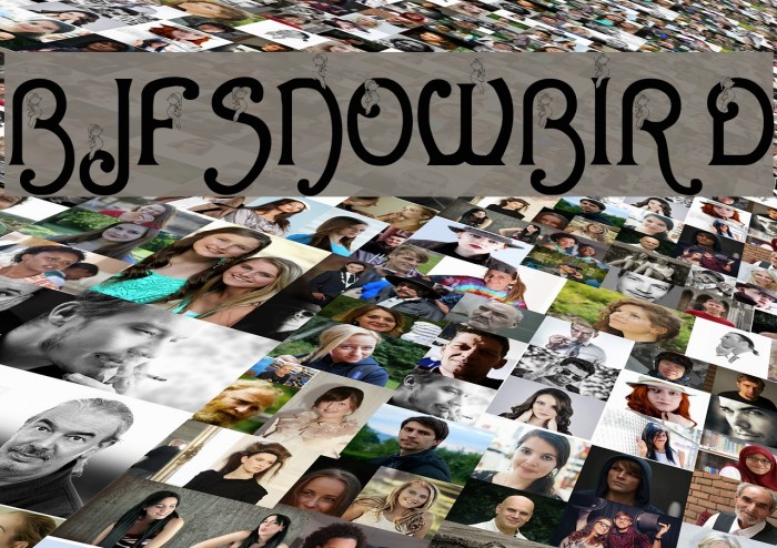 BJF Snowbird Example 3