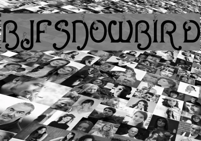 BJF Snowbird Font examples