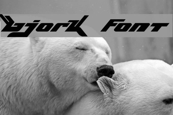 Bjork Font examples