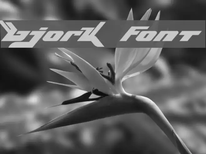 Bjork Example 3