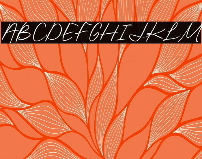 Bjornsson Signature Regular Example 2