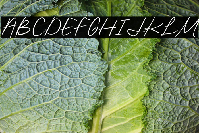 Bjornsson Signature Regular Example 3