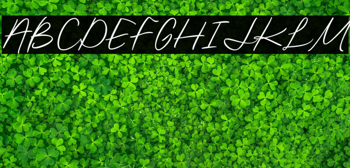 BjornssonSignature-Regular Example 3