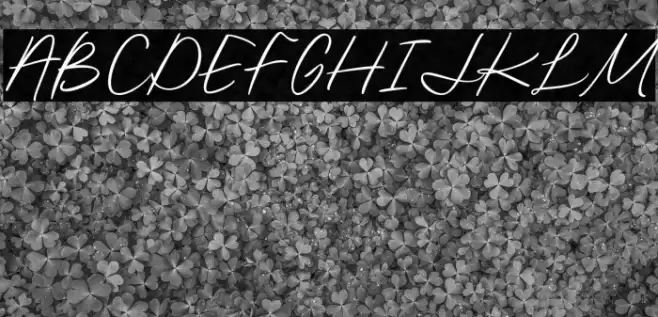 BjornssonSignature-Regular Font examples