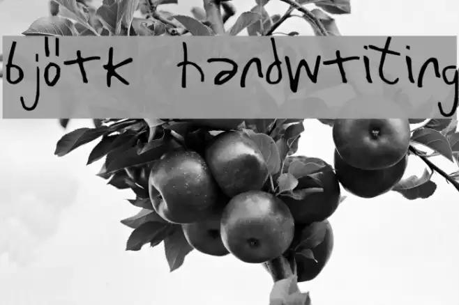 Björk Handwriting Font examples
