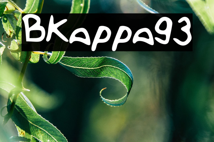 BKappa93 Example 3