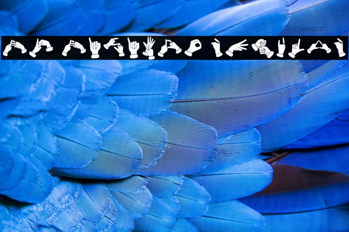 Bk Bisindo Regular Example 2