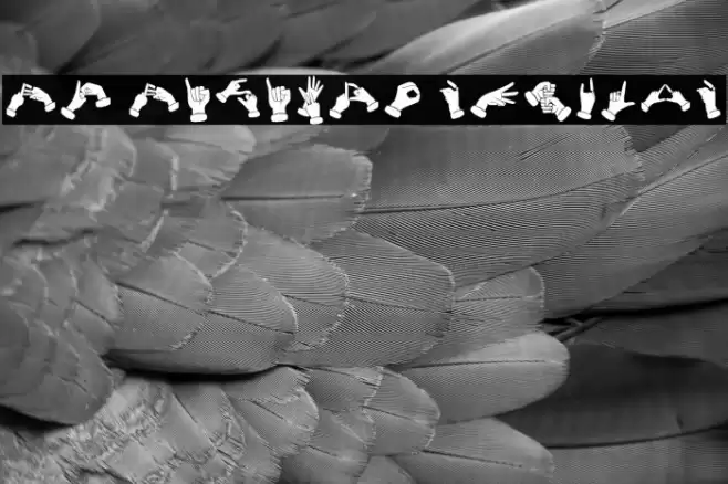 Bk Bisindo Regular Font examples