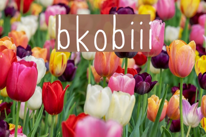 bkobiii Font examples