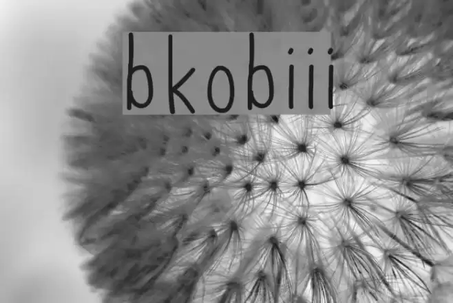 bkobiii Font examples