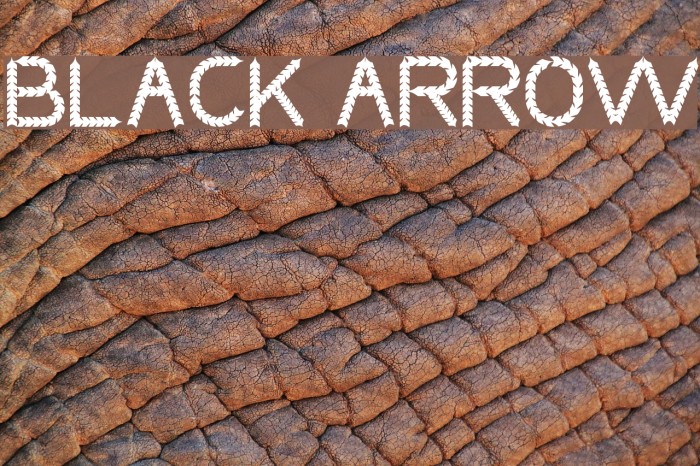 BLACK ARROW لخطوط تنزيل examples