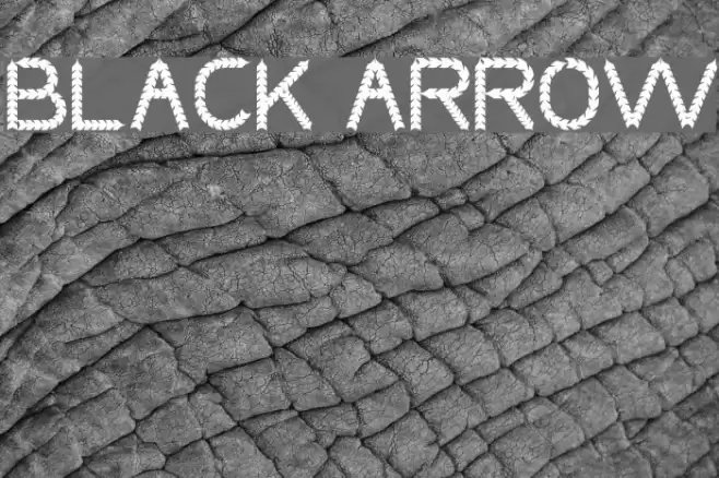 BLACK ARROW خط examples