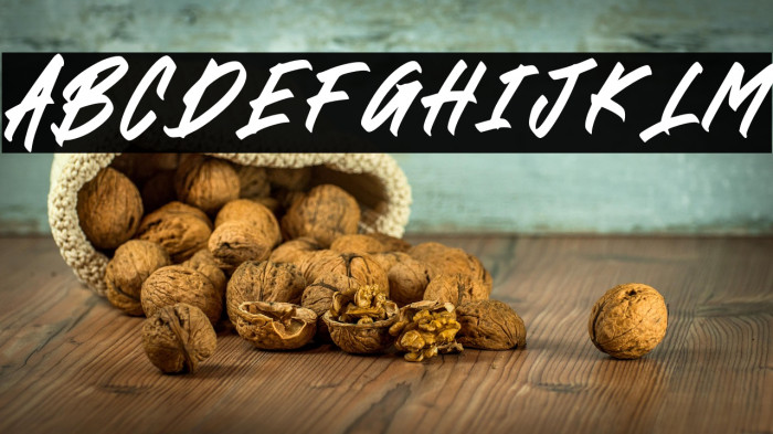 BLACK BRUSH Italic Example 3