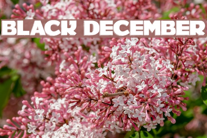BLACK DECEMBER Font examples