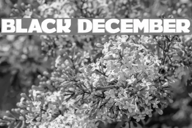 BLACK DECEMBER フォント examples