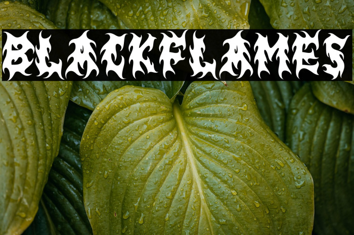 BLACK FLAMES Example 2