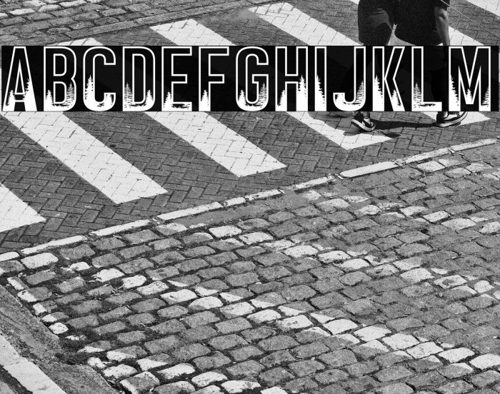 BLACK FOREST Example 2