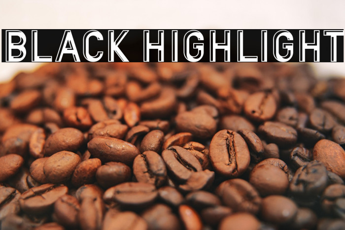 BLACK HIGHLIGHT Example 2