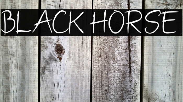 BLACK HORSE Example 1