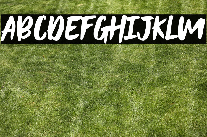 BLACK HUMMER Demo Example 1