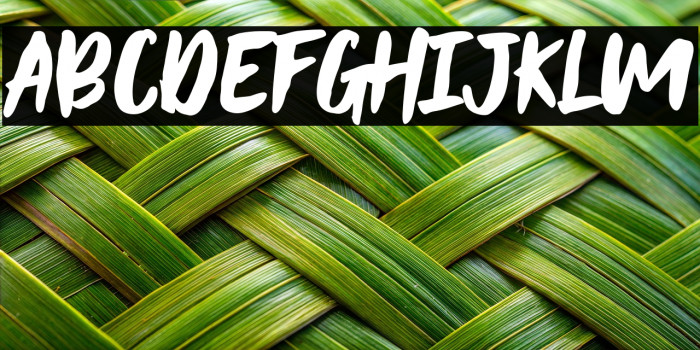 BLACK HUMMER Demo Example 2