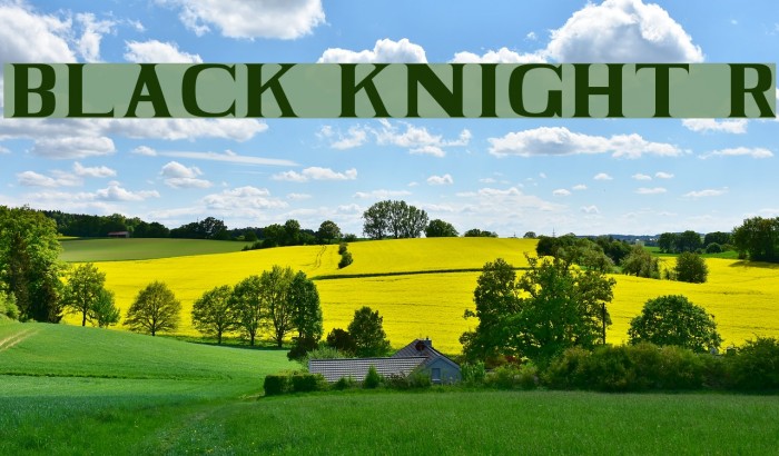 BLACK KNIGHT Regular Font examples